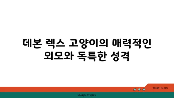 데본 렉스 고양이 완벽 가이드| 성격, 특징, 관리법 | 데본 렉스, 고양이 종류, 반려묘