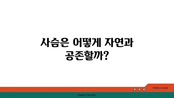 사슴의 비밀| 흥미로운 사슴 이야기와 놀라운 사실들 | 동물, 야생, 자연, 멸종 위기