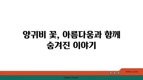 양귀비 꽃의 매혹적인 아름다움과 그 의미 | 꽃말, 전설, 재배 정보