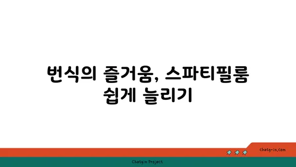 스파티필룸 키우기 완벽 가이드| 잎, 물주기, 번식, 병해충 관리 | 식물 키우기, 공기 정화 식물, 실내 식물