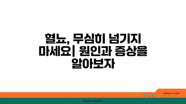 혈뇨, 걱정되시나요? 원인과 증상, 진료받는 방법 알아보기 | 혈뇨, 빈뇨, 요통, 비뇨기과, 건강 정보