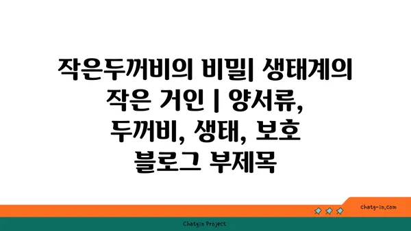 작은두꺼비의 비밀| 생태계의 작은 거인 | 양서류, 두꺼비, 생태, 보호