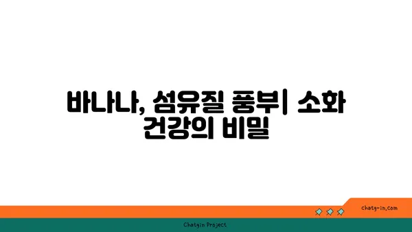 바나나, 식이섬유질 풍부한 이유| 건강한 장을 위한 과학적 근거 | 바나나 효능, 식이섬유, 소화 건강