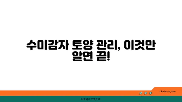 수미감자 최고의 수확을 위한 토양 조건 완벽 가이드 | 수미감자 재배, 토양 관리, 영양 공급