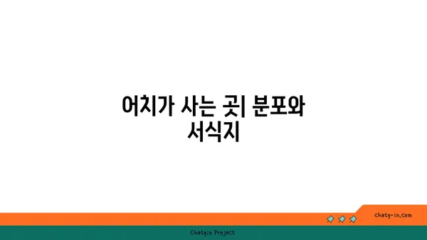 어치의 비밀| 텃새 vs. 철새, 어치는 어디에 살까요? | 어치, 텃새, 철새, 분포, 서식지, 생태