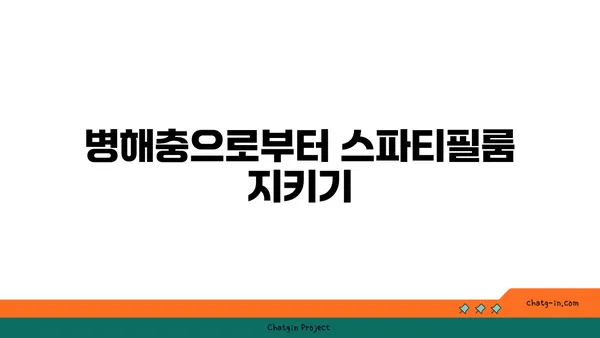 스파티필룸 키우기 완벽 가이드| 잎, 물주기, 번식, 병해충 관리 | 식물 키우기, 공기 정화 식물, 실내 식물