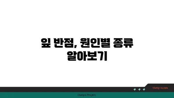 잎에 반점이 생기는 병, 종류별 원인과 해결 방법 | 식물 질병, 병해충, 치료