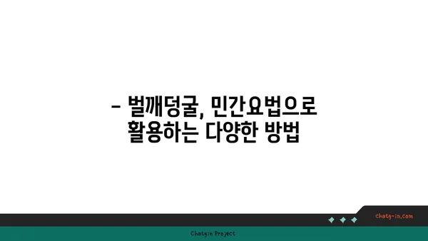 벌깨덩굴 효능과 부작용 완벽 정리 | 약초, 민간요법, 주의사항