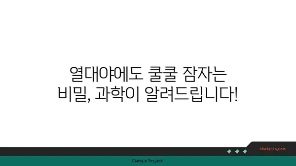 열대야, 잠 못 이루는 밤? 과학이 알려주는 숙면의 비밀 | 열대야, 수면 장애, 쿨팁, 숙면 팁, 여름밤