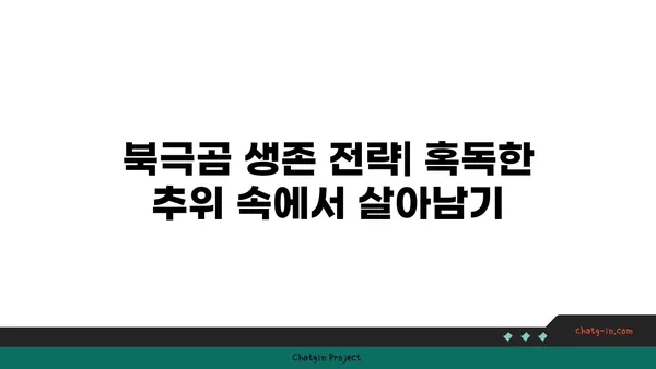 큰곰의 비밀| 북극곰 생존 전략 | 북극곰, 생존, 야생동물, 겨울잠