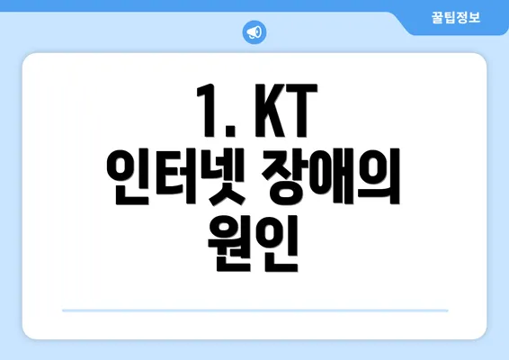 1. KT 인터넷 장애의 원인