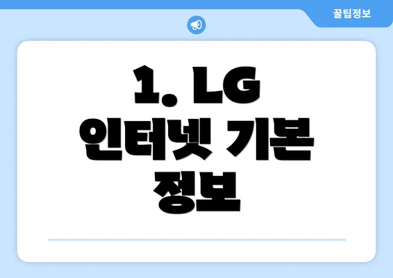 1. LG 인터넷 기본 정보