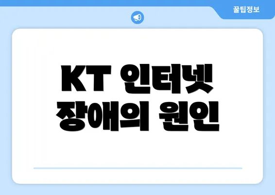 KT 인터넷 장애의 원인