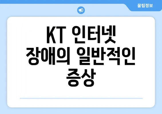 KT 인터넷 장애의 일반적인 증상