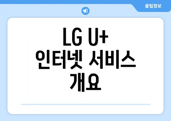 LG U+ 인터넷 서비스 개요