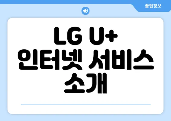 LG U+ 인터넷 서비스 소개