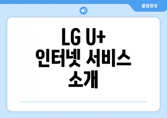 LG U+ 인터넷 서비스 소개