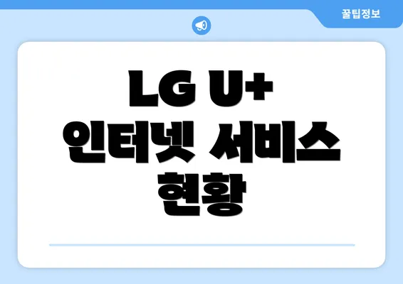 LG U+ 인터넷 서비스 현황