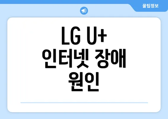 LG U+ 인터넷 장애 원인