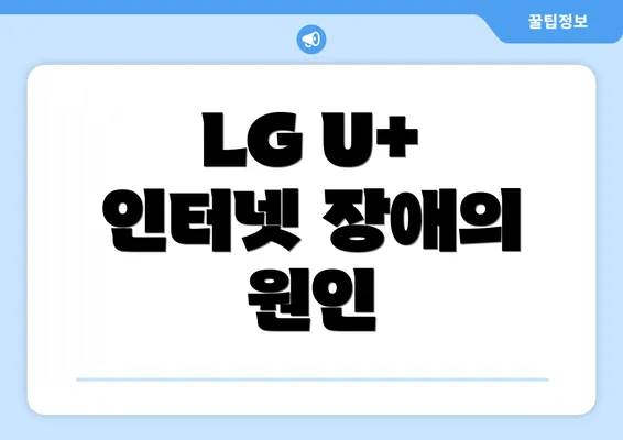 LG U+ 인터넷 장애의 원인