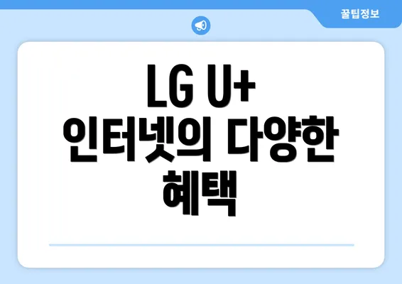 LG U+ 인터넷의 다양한 혜택