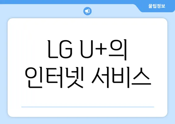 LG U+의 인터넷 서비스