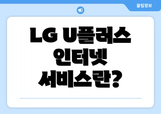 LG U플러스 인터넷 서비스란?