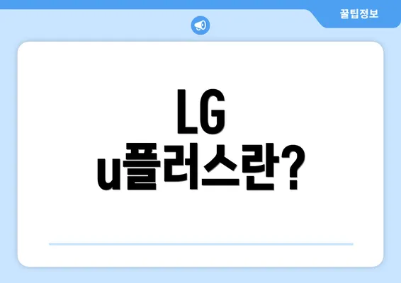 LG u플러스란?