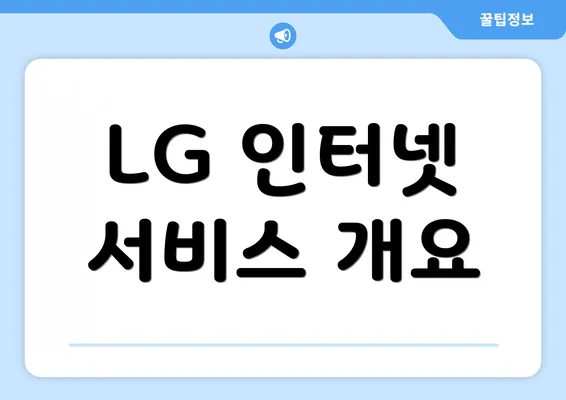 LG 인터넷 서비스 개요