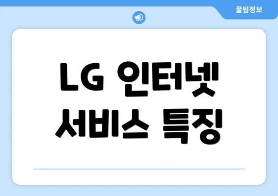 LG 인터넷 서비스 특징