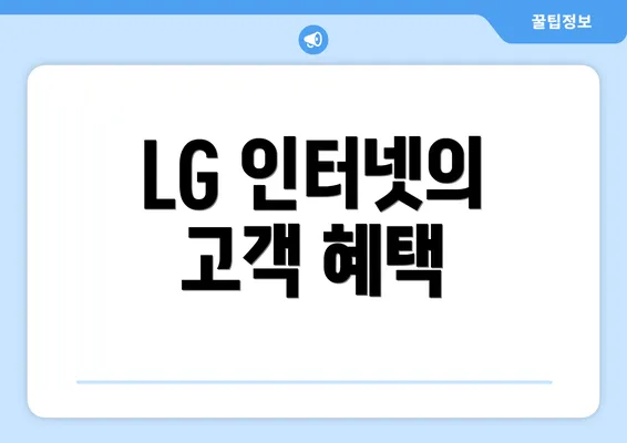 LG 인터넷의 고객 혜택