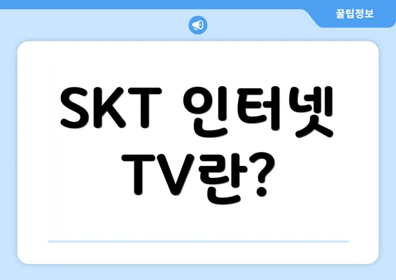 SKT 인터넷 TV란?