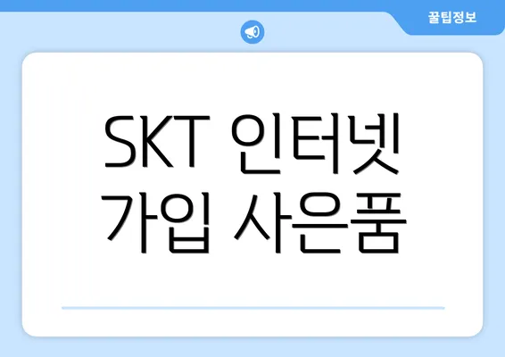 SKT 인터넷 가입 사은품