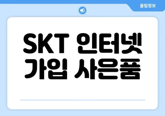 SKT 인터넷 가입 사은품