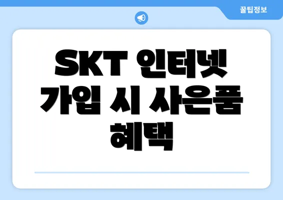 SKT 인터넷 가입 시 사은품 혜택