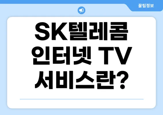 SK텔레콤 인터넷 TV 서비스란?