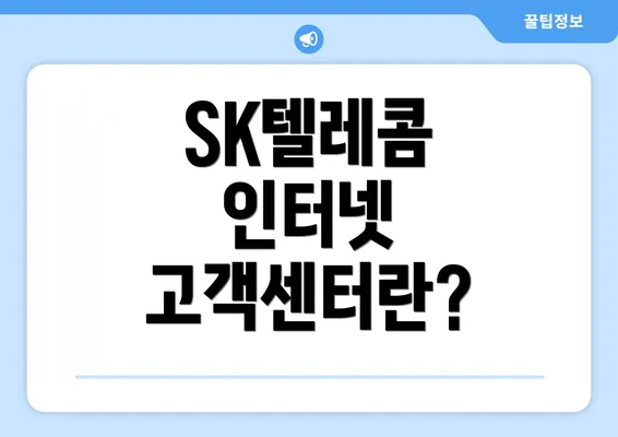 SK텔레콤 인터넷 고객센터란?