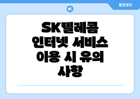 SK텔레콤 인터넷 서비스 이용 시 유의 사항