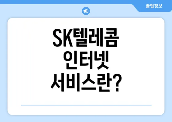 SK텔레콤 인터넷 서비스란?