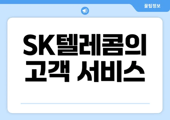 SK텔레콤의 고객 서비스