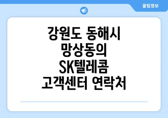 강원도 동해시 망상동의 SK텔레콤 고객센터 연락처