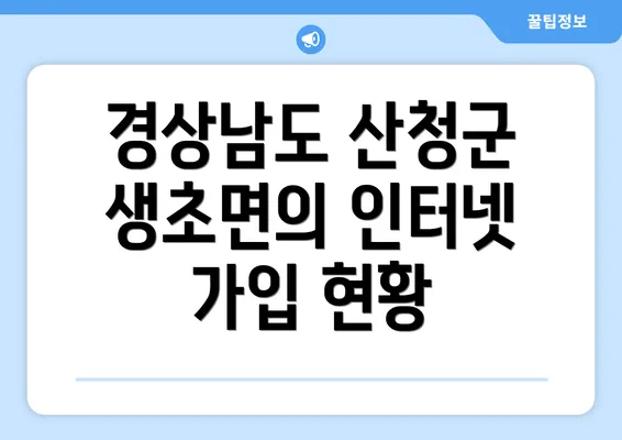 경상남도 산청군 생초면의 인터넷 가입 현황