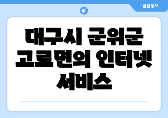 대구시 군위군 고로면의 인터넷 서비스