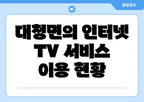 대청면의 인터넷 TV 서비스 이용 현황