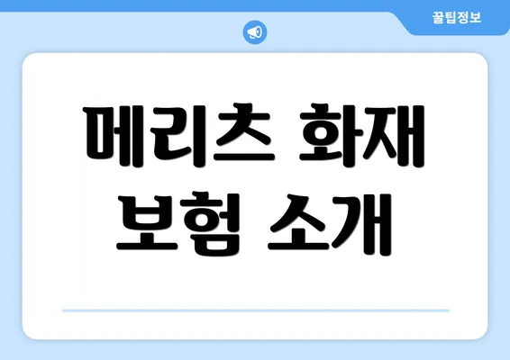 메리츠 화재 보험 소개