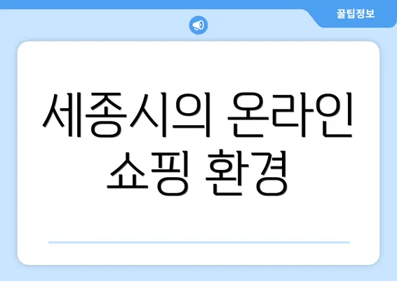 세종시의 온라인 쇼핑 환경