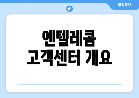 엔텔레콤 고객센터 개요