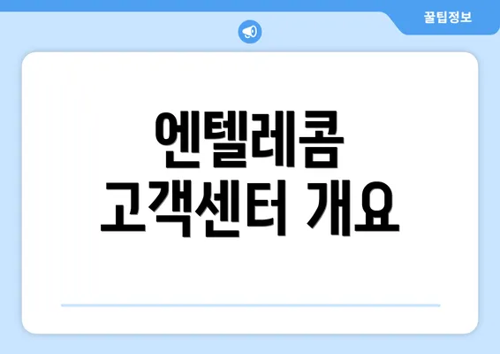 엔텔레콤 고객센터 개요