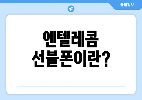 엔텔레콤 선불폰이란?