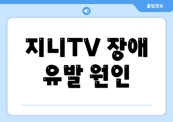 지니TV 장애 유발 원인